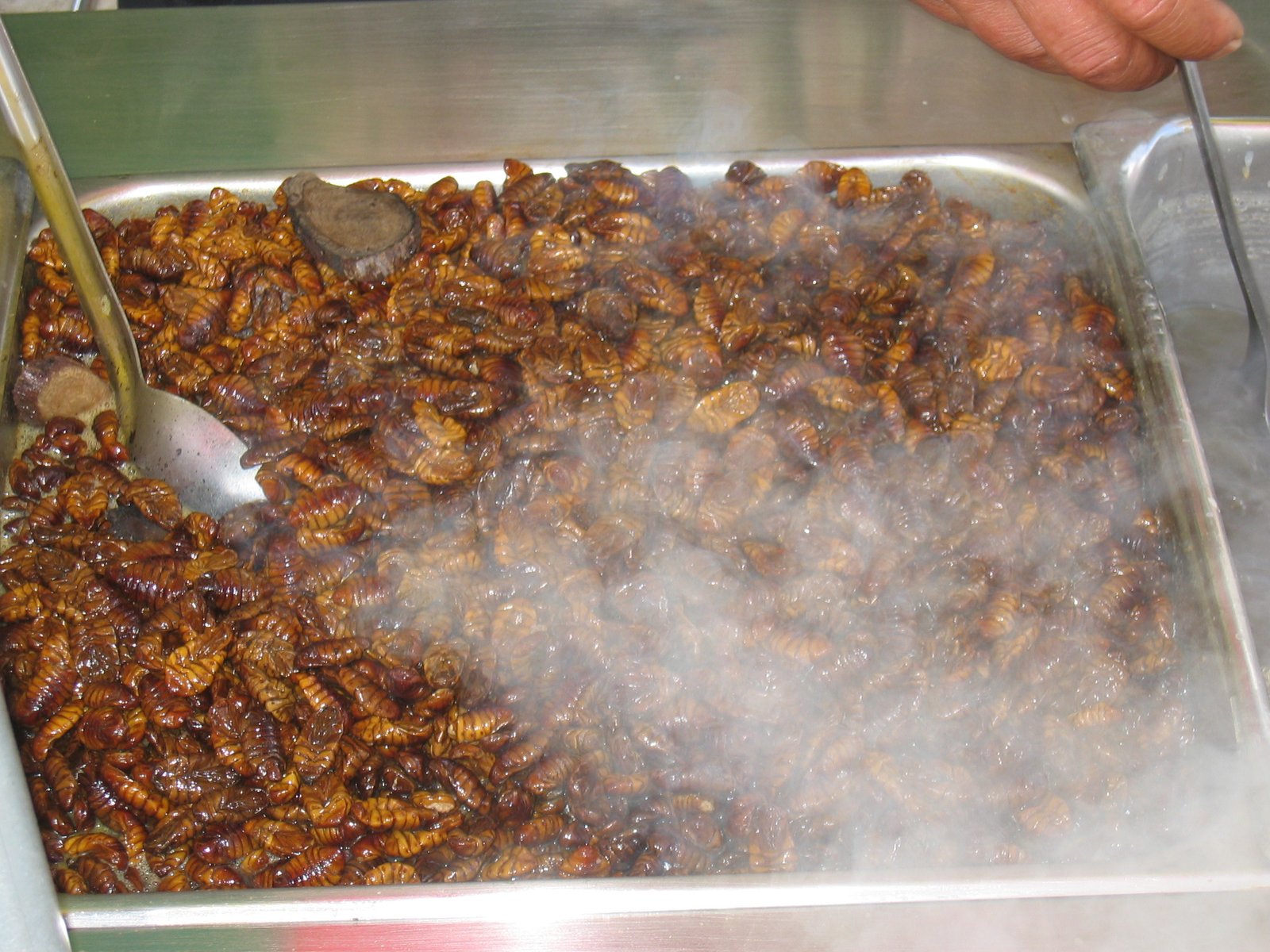 Street Food: Beondegi(번데기) Story