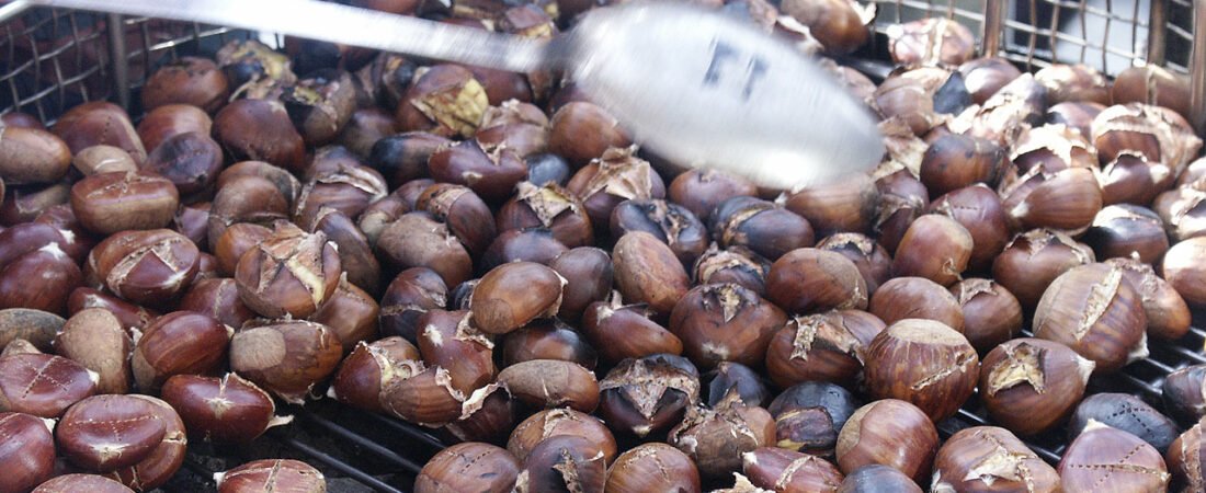 Street Food: Roasted Chestnuts(군밤) Story