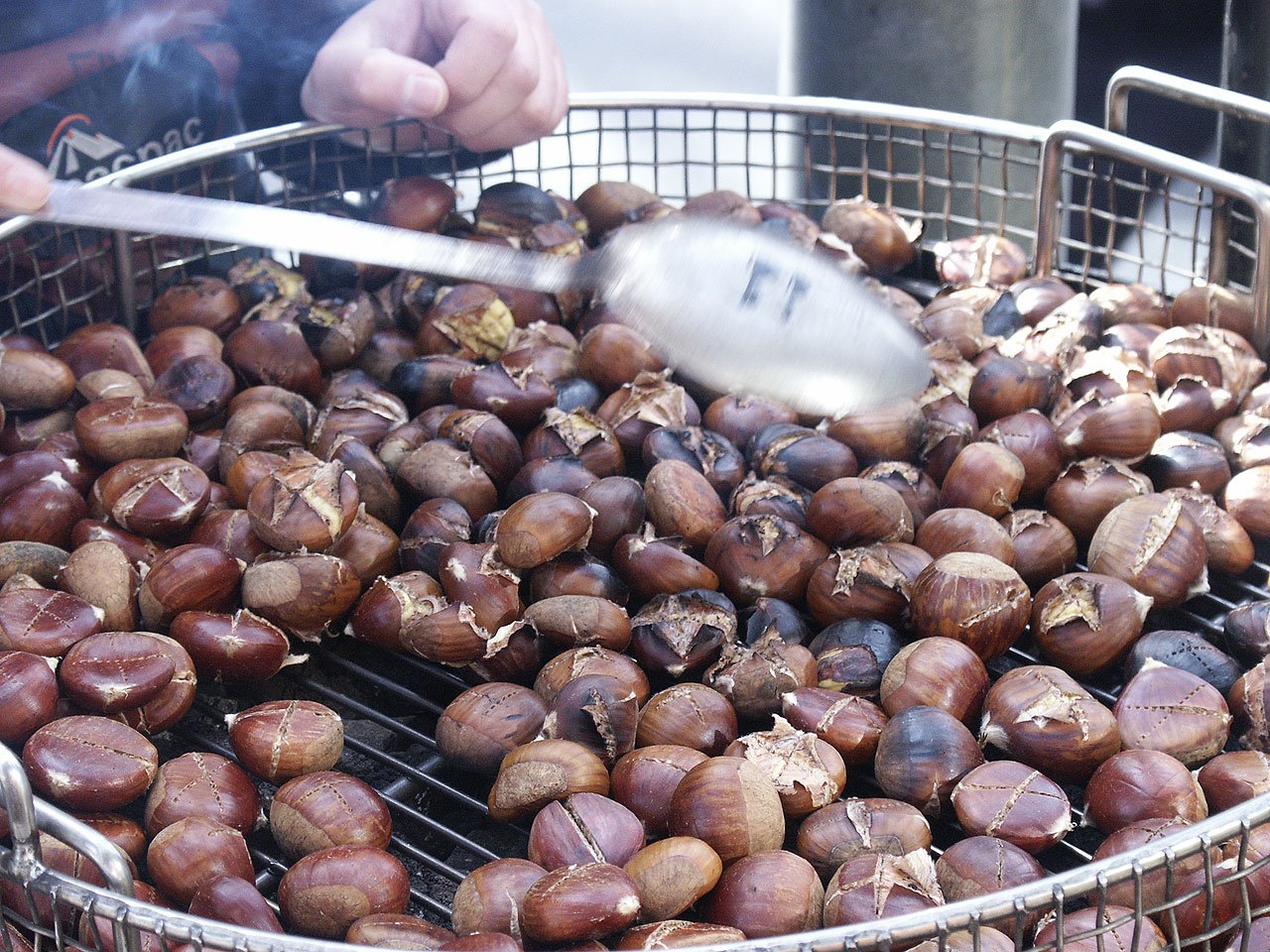 Street Food: Roasted Chestnuts(군밤) Story